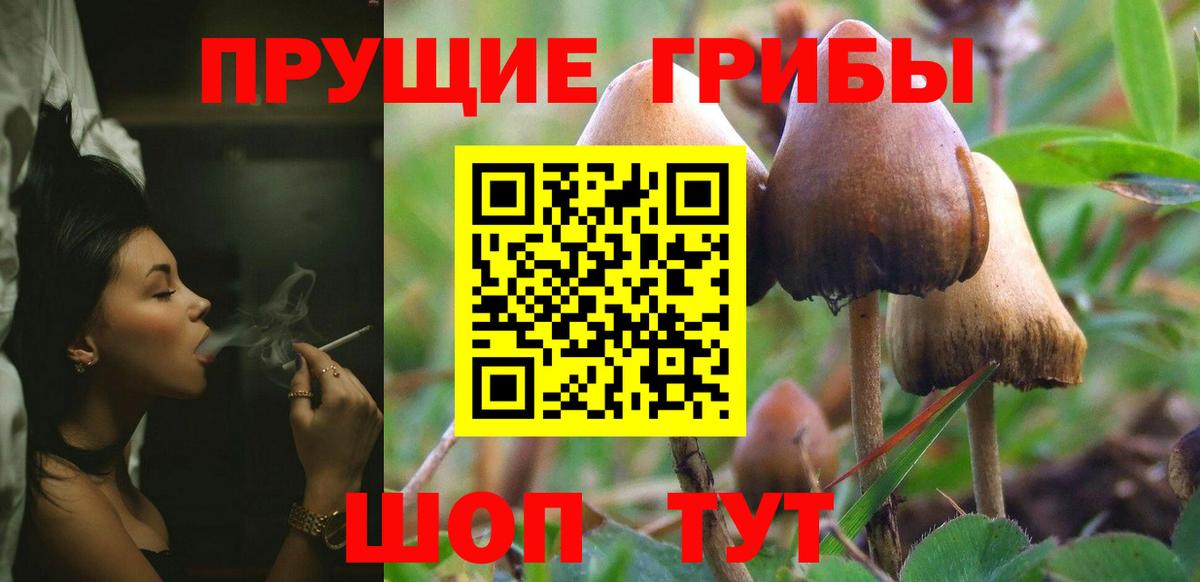 Галлюциногенные грибы прущие грибы Кизилюрт