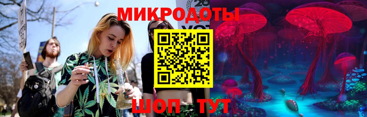 Кизилюрт  Псилоцибиновые грибы мицелий  Галлюциногенные грибы Psilocybine cubensis  Вход с VPN 